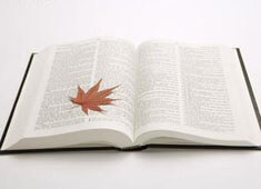 汉堡青年队斩获胜利，展现出色体能